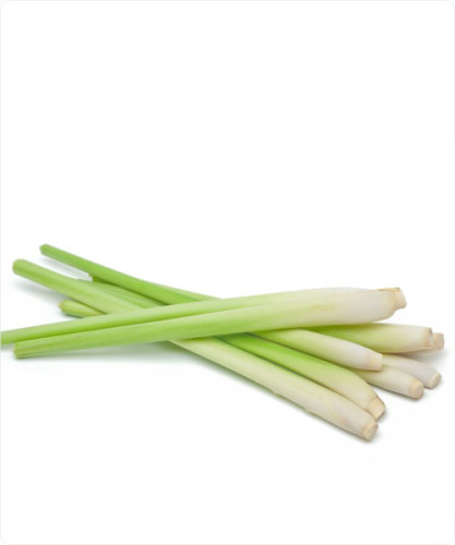 Olejek trawa cytrynowa I Olejek eteryczny - Lemongrass -I Sklep online
